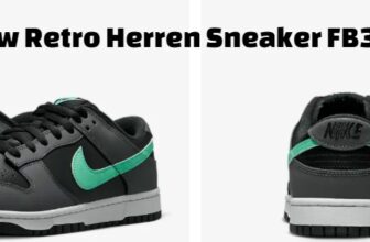 Nike Dunk Low Retro Herren Sneaker FB