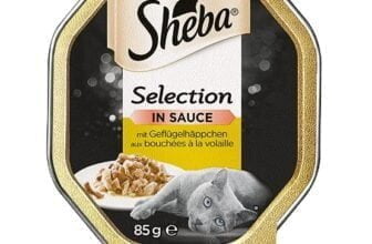 Sheba Selection in Sauce