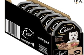 Cesar Adult Hundenassfutter Landragout mit zartem Truthahn Rind und Kraeutern Schalen xg –