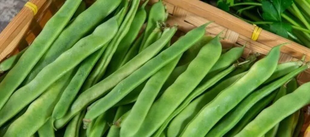 Gruene Flache Breite Bohnen Kinderleicht Zubereiten Rezept