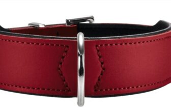 HUNTER BASIC Hundehalsband beschichtetes Spaltleder Kunstleder