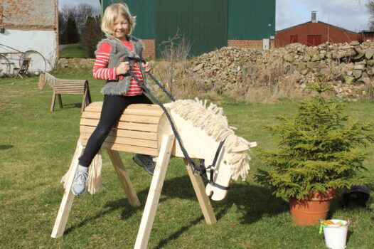 Helga Kreft Gartenpferd Tamme im Garten