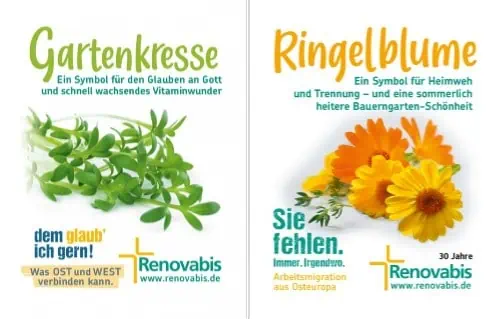 Gratis 🪴 Ringelblumensamen + Gartenkresse