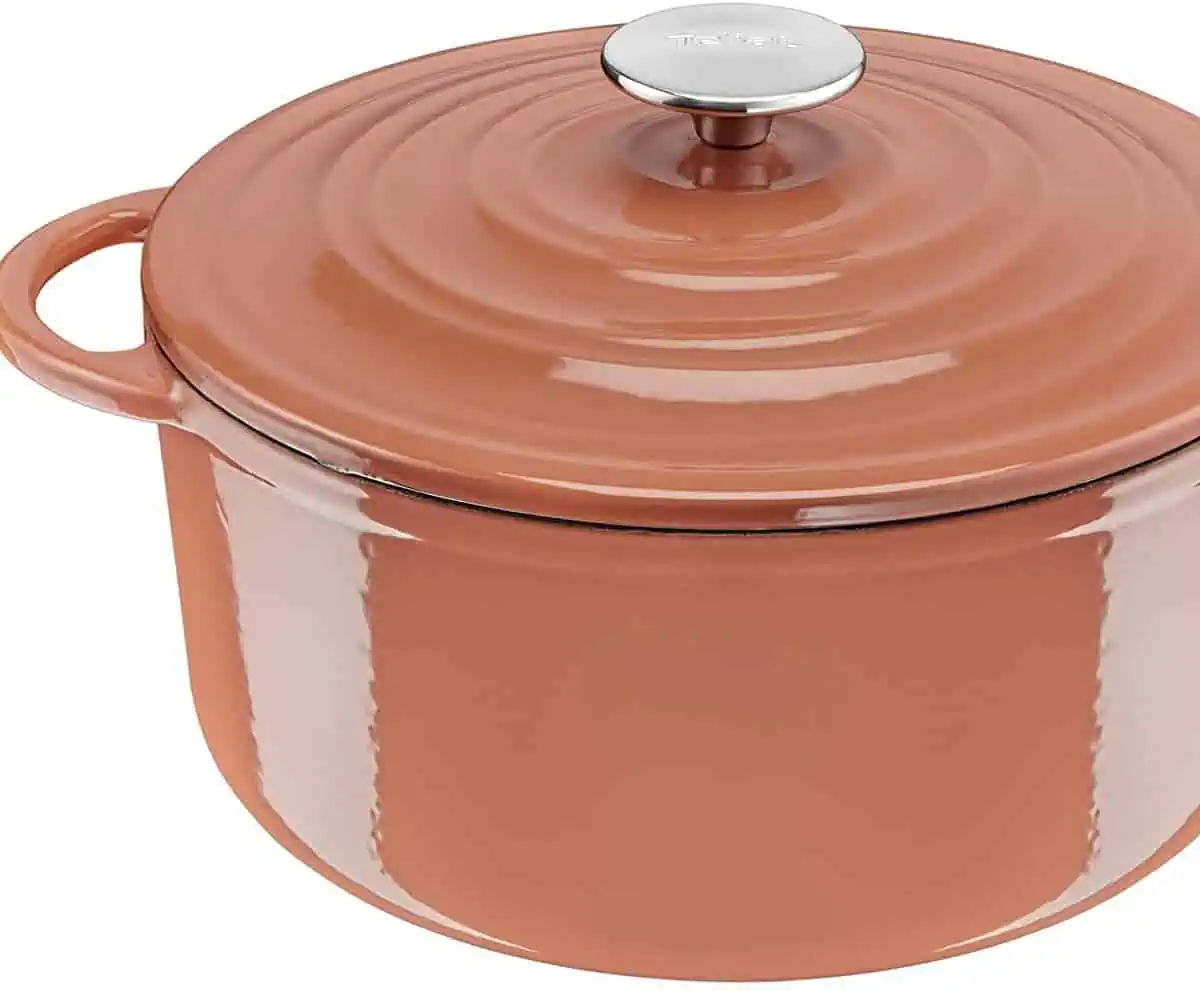 *Bestpreis* Tefal LOV Kochtopf (25 cm, wiedergewonnenes Gusseisen, für alle Herdarten, spülmaschinenfest) für 76,99 € inkl. Versand (statt 138,90 €)