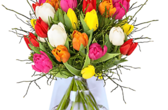 Tulpenstrauß Modern Love