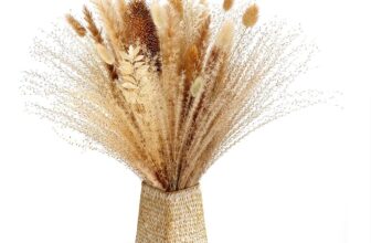 YIKEDAN Pampasgras Trockenblumen Deko Natuerliche Pampasgras Flauschige Wedel Braun Karden und Stac