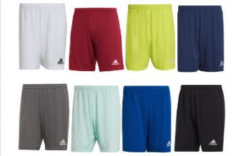 adidas Entrada Short