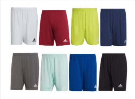 adidas Entrada Short