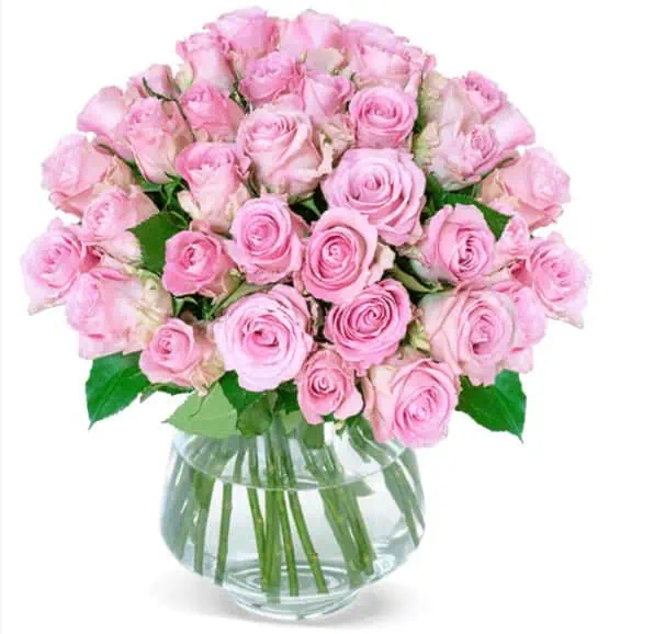 Blume Ideal: Blumen zum Muttertag 💐 mit 15% Gutschein z.B.: 33 Pinke Rosen für die Beste für 32,98 € inkl. Lieferung