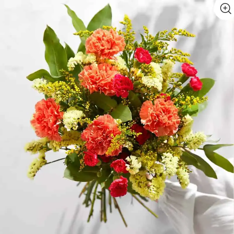 Bloom & Wild: 15,00 € Rabatt + kostenloser Versand für Neukunden z.B. Handgebundener Blumenstrauß Amira für 14,00 € inkl. Versand (statt 24,00 €)