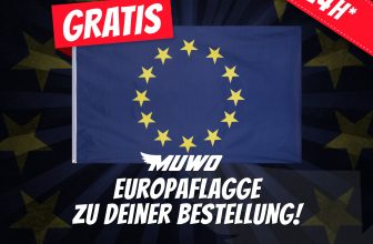 Europaflagge gratis