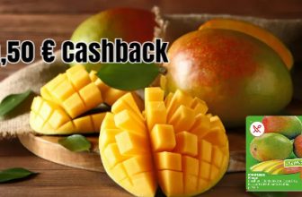 Jetzt mit Cashback Geld sparen 🏷️Mango mit € marktguru