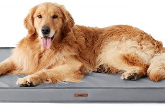 Lesure orthopädisches Hundebett Grosse Hunde xx.cm Hundebett waschbar mit wasserabweisend B