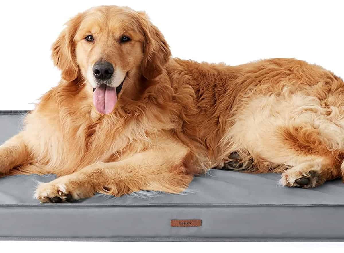 Lesure Orthopädisches Hundebett Grosse Hunde Xx.cm Hundebett Waschbar Mit Wasserabweisend B