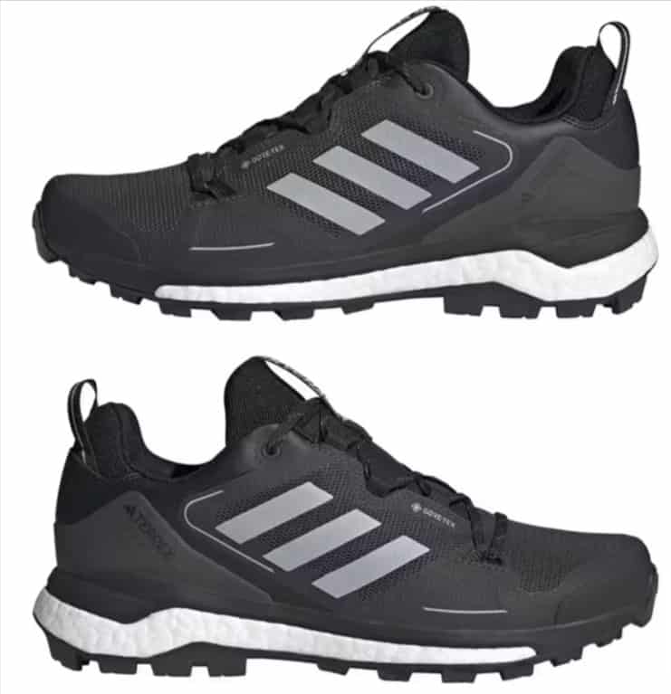 Adidas Terrex Skychaser 2 Gtx Herren Multifunktionsschuhe