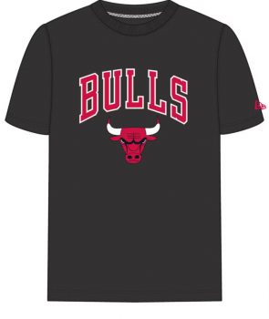 New Era Team Logo Chicago Bulls Herren T shirt