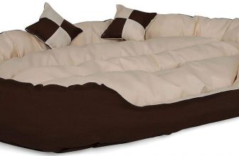 lionto in Hundebett Hundekissen Hundekörbchen mit Wendekissen L x cm braun beige Amazon de Haustier