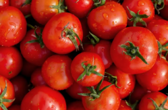 Jetzt mit Cashback Geld sparen 🏷️Tomaten mit € marktguru