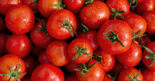 Tomaten 🍅 für 0,70€ [Marktguru + Netto]