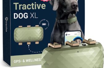 Tractive Dog XL GPS Tracker (grün)