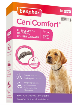 beaphar Canicomfort Hundehalsband beruhigend Pheromone cm Amazon de Haustier