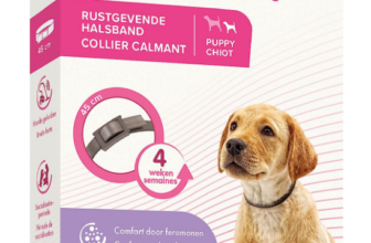 beaphar Canicomfort Hundehalsband beruhigend Pheromone cm Amazon de Haustier