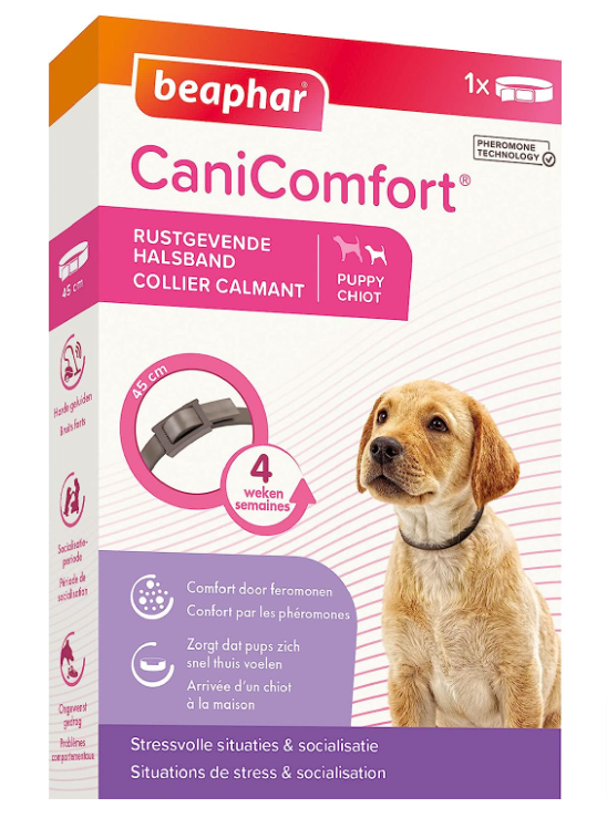 Beaphar Canicomfort Hundehalsband Beruhigend Pheromone Cm Amazon De Haustier