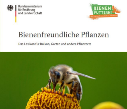 BMEL Publikationen Bienenfreundliche Pflanzen Das Lexikon für Balkon Garten und andere Pflanzenorte