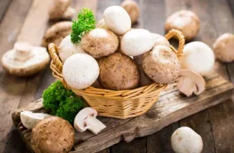 Cashback auf frische Champignons