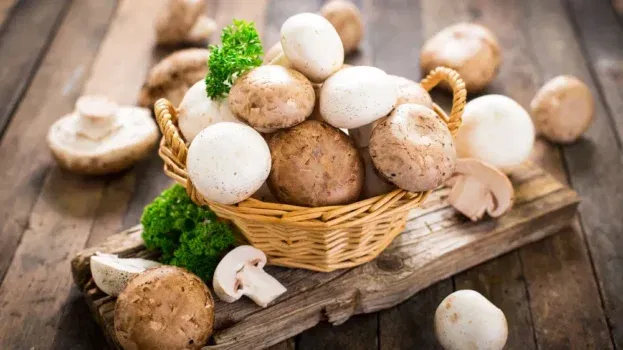 Cashback auf frische Champignons