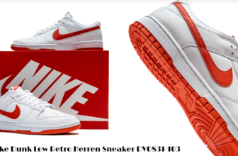 Nike Dunk Low Retro Herren Sneaker DV