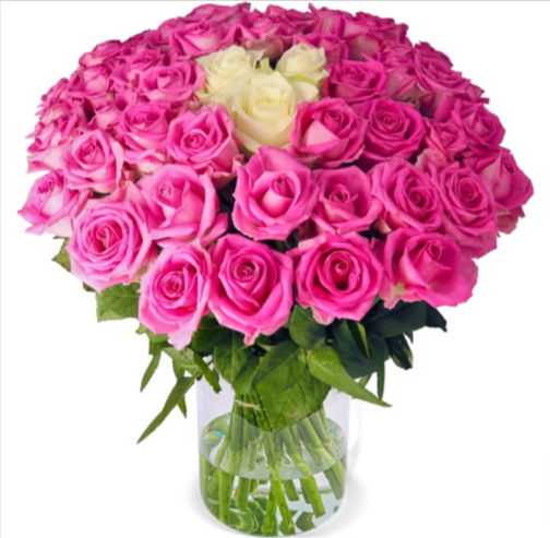 50 Rosen „Barbie-Special“ für 29,98 € inkl. Versand [47 pinke und 3 weiße Rosen]