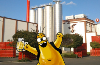 ZU MIR ODER ZU BIER – Tag der offenen Tür im Sterniversum