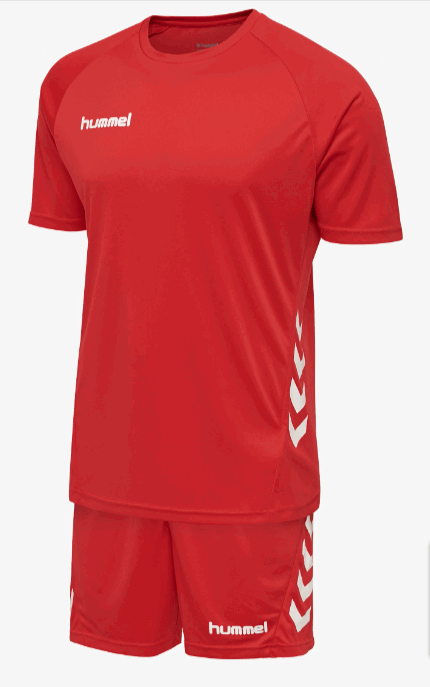 Hummel Pro Trikot Set