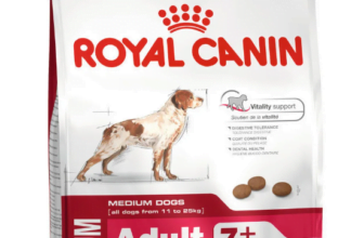 ROYAL CANIN SHN Medium Adult