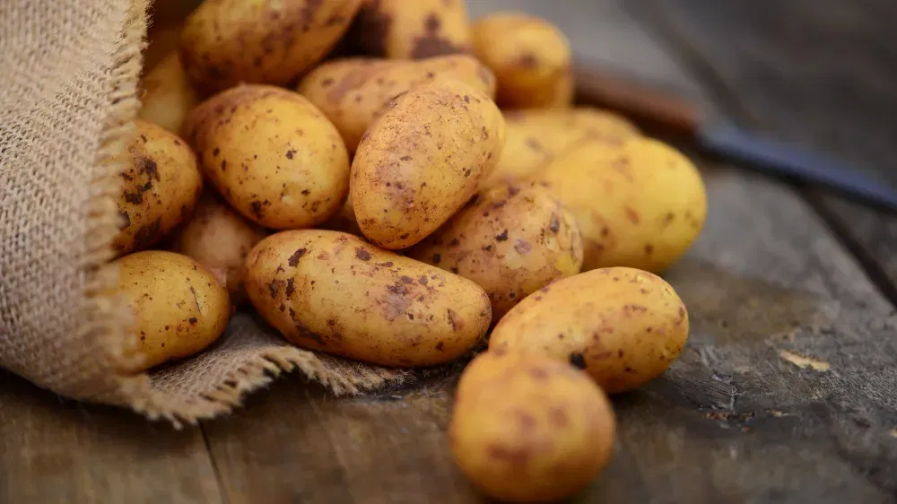 Cashback Auf Kartoffeln