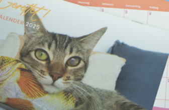 Ihr-Gerettet-Kalender-PETA-Deutschland-e-V--01-10-2025 09 41 AM