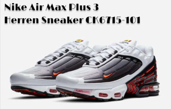 Nike Air Max Plus Herren Sneaker CK