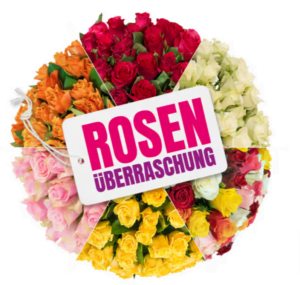 Rosenüberraschung