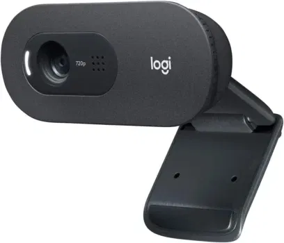 Logitech C505 HD Webcam