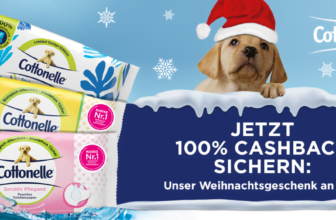 CB-Kimberly-Clark-Cottonelle-Weihnachten-12-23