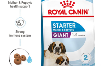 ROYAL-CANIN-GIANT-Starter-für-tragende-Hündin-und-Welpen-sehr-großer-Rassen