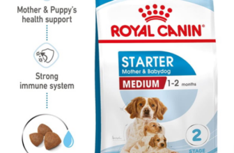 ROYAL-CANIN-MEDIUM-Starter-für-tragende-Hündinnen-und-Welpen-mittelgroßer-Rassen