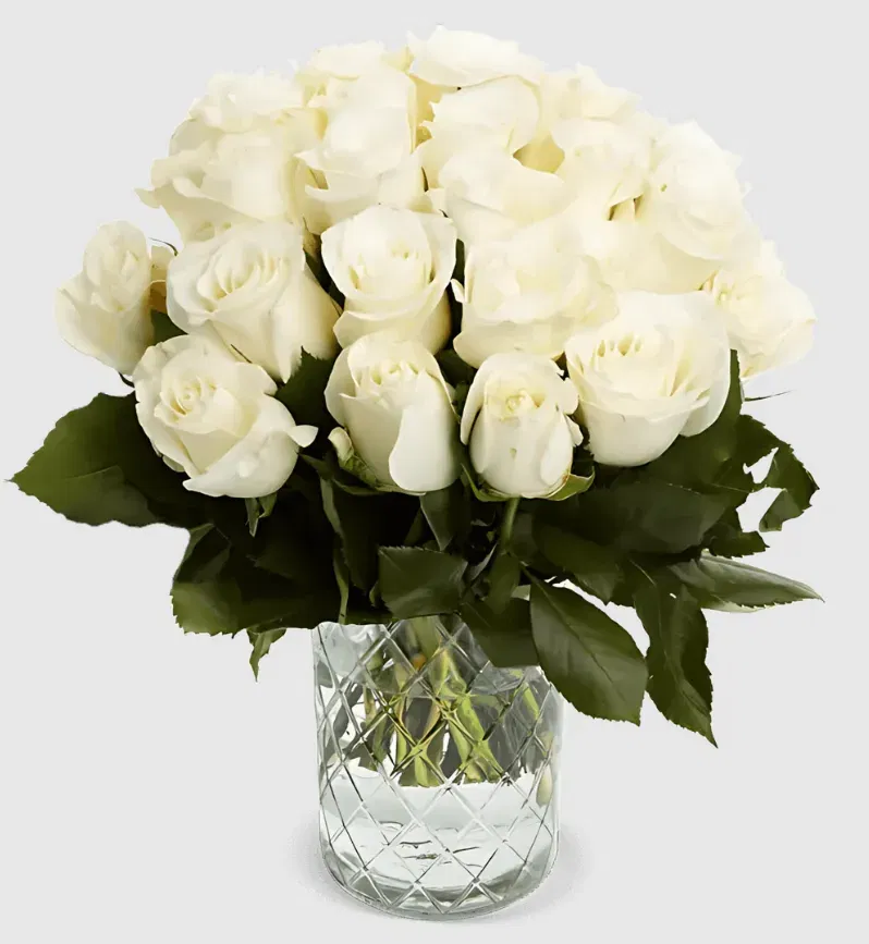 40 weiße Rosen (40 cm) für 28,18 € inkl. Versand🌹