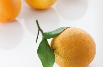 Echte-Orangen-für-Bremen