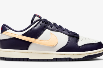 Nike-Dunk-Low-Retro-Herrenschuh-Nike-DE