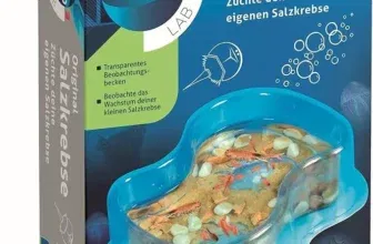 lementoni Galileo Lab – Original Salzkrebse, Züchten & Beobachten von Urzeitkrebsen