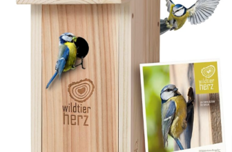 wildtier-herz-Nistkasten-Natur-für-Blaumeisen-kleine-Meisenarten