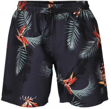 BRUNOTTI Maron-AO Herren Badeshorts