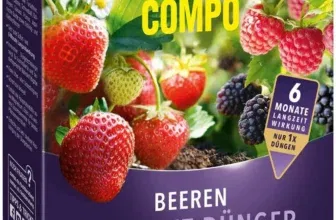 COMPO Beeren Langzeit-Dünger für Beeren (2 kg) für 10,99 € inkl. Prime-Versand (statt 14,79 €)